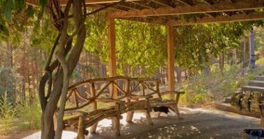 פרגולות מעץ גושני