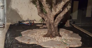 ריצוף גינות נוי