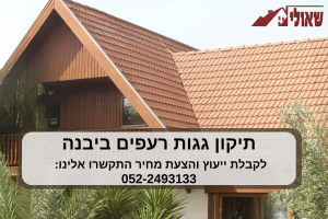 תיקון גגות רעפים ביבנה