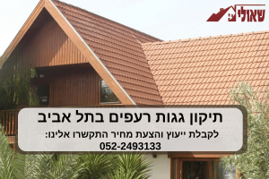 תיקון גגות רעפים בתל אביב